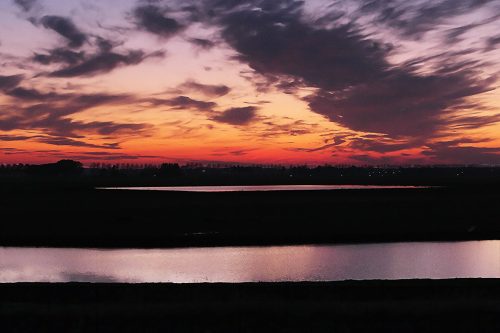 Meerpolder